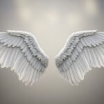 Wings background hd for editing image