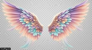 Wings background hd for editing image 3