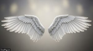 Wings background hd for editing image