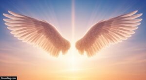 Wings background image