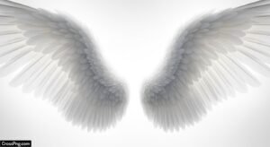Wings background image 4