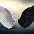 Wings background image