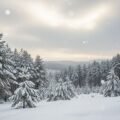 Winter background aesthetic