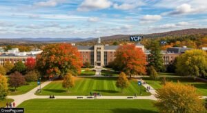Ycp background image 2
