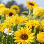 Yellow flower background image 3