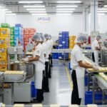 Apollo food holdings berhad background image 3