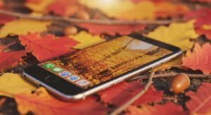 Autumn background iphone image 15