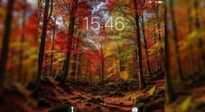 Autumn iphone background image 7