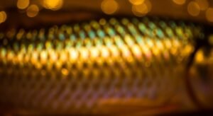 Background dorado image 3