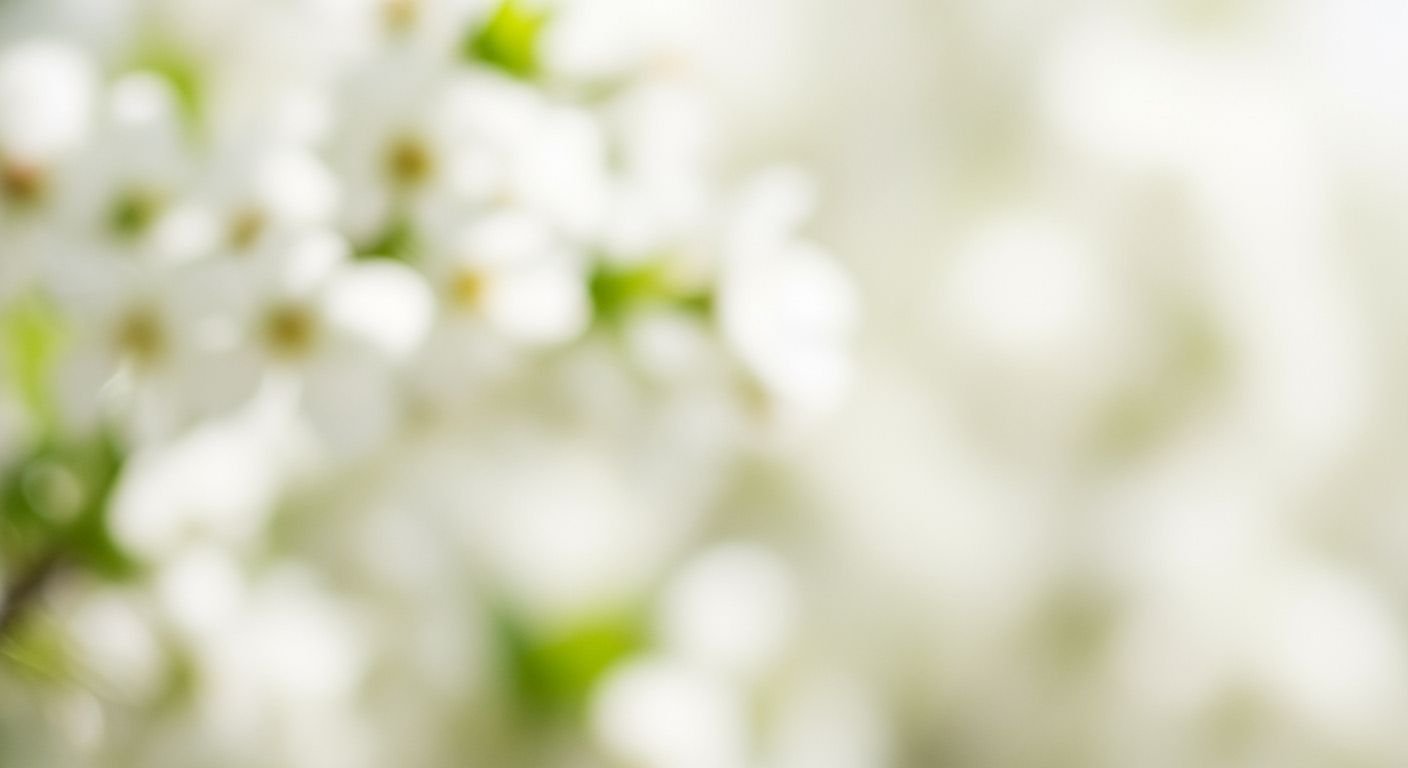 Background flower white image 3