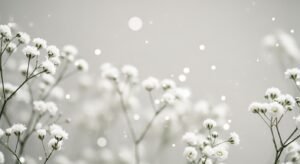 Background flower white image 4