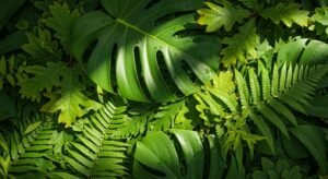Background of leaves image 4