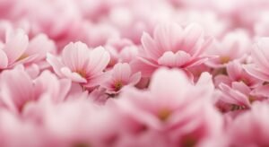 Background pink flower image