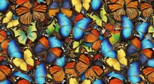 Background with butterflies image 4