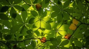 Background with leaves image 2