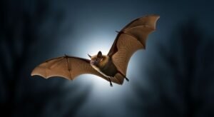 Bat background image