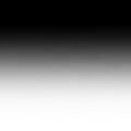 Black to white gradient