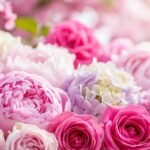 Flower background pink image 3