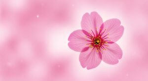 Flower with pink background image 2