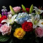 Flowers with a black background image