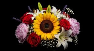 Flowers with a black background image 3