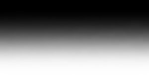 Gradient background black and white image 2