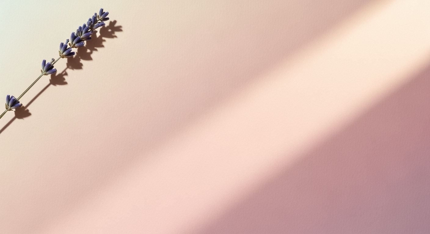 Single lavender flower on a pink