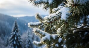 Winter iphone background image 3
