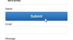 Wpforms button hover background color does not cha image 3