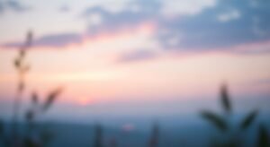 Blurry image of a sunset over a field of grass Background Image