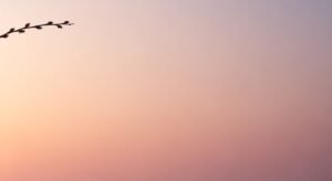 Branch of a tree with a pink sky in the background Background Image