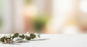 Eucalyptus leaves and a stone on a table Background Image