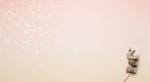 Eucalyptus leaves on a pink and beige background Background Image
