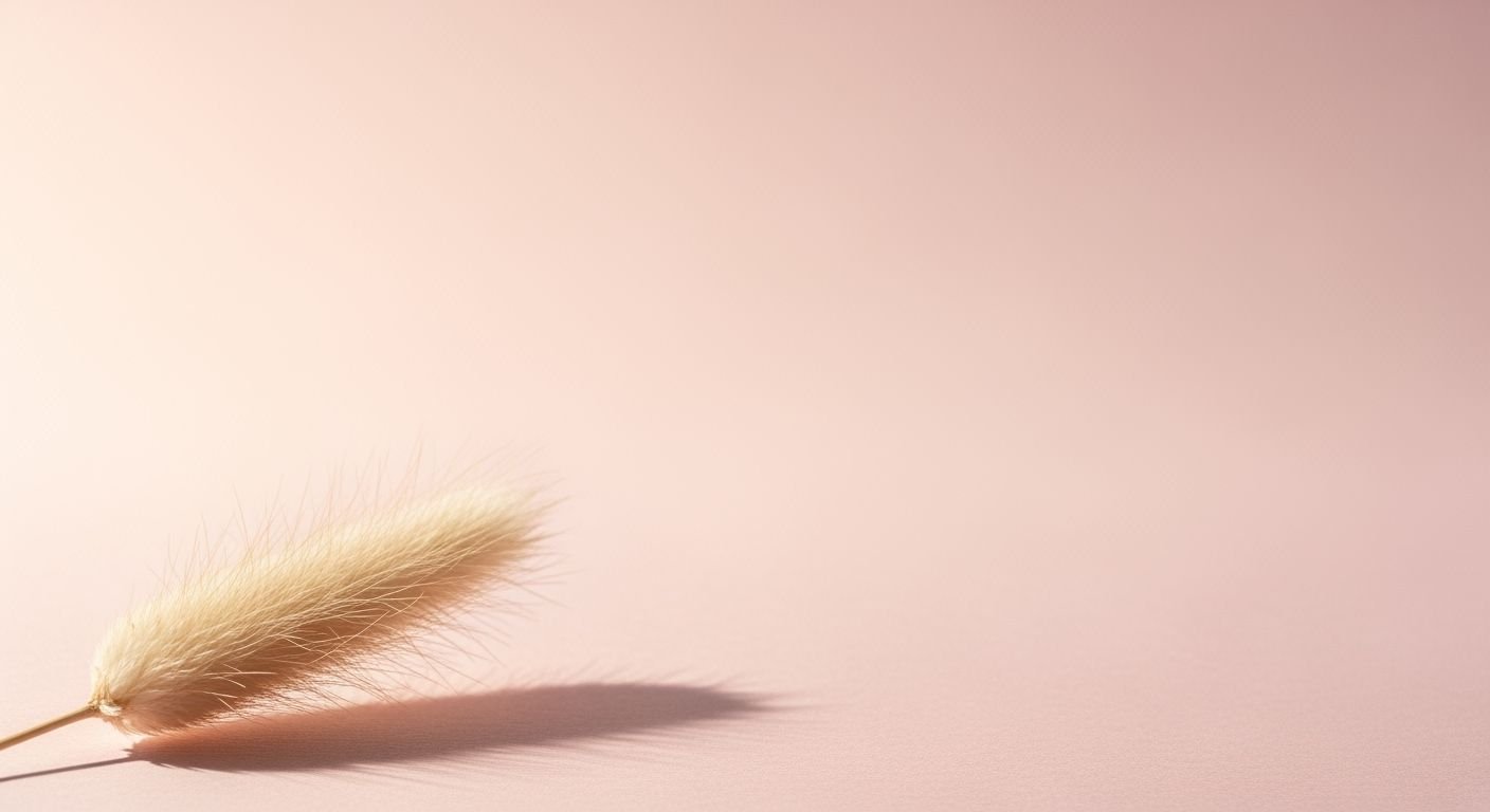 Feather on a pink background with a shadow Background Image