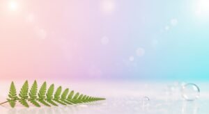 Fern leaf and water droplets on a table Background Image