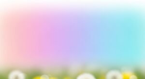 Field of daisies with a blurry background Background Image