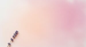 Lavender flower on a pink and white background Background Image