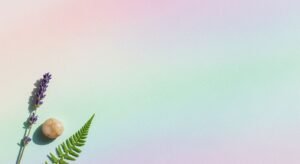 Lavender plant and a stone on a pastel colored background Background Image