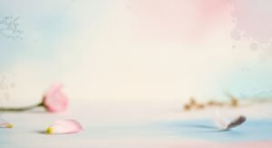 Pink flower and a feather on a blue and pink background Background Image