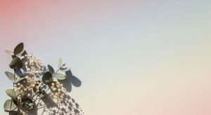 Plant with white flowers and green leaves on a pink and blue background Background Image