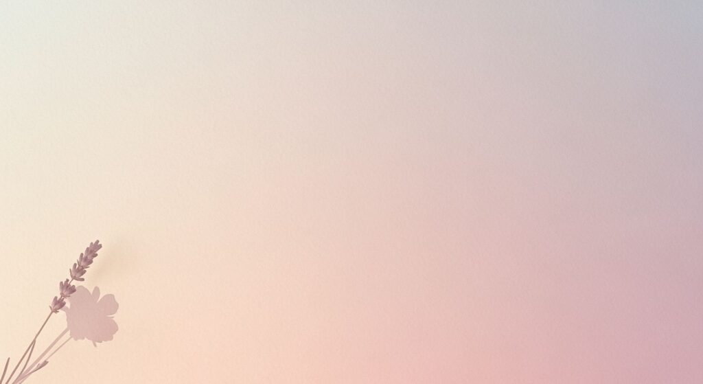 Single flower on a pink and blue background Background Image