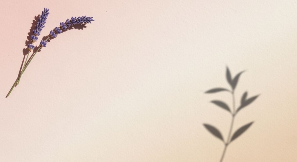 Single lavender flower on a pink background Background Image