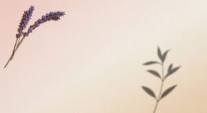 Single lavender flower on a pink background Background Image