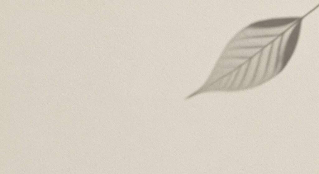 Single leaf is shown in black and white Background Image