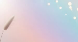 White feather on a blue and pink background Background Image