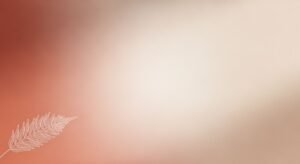 White feather on a red and beige background Background Image